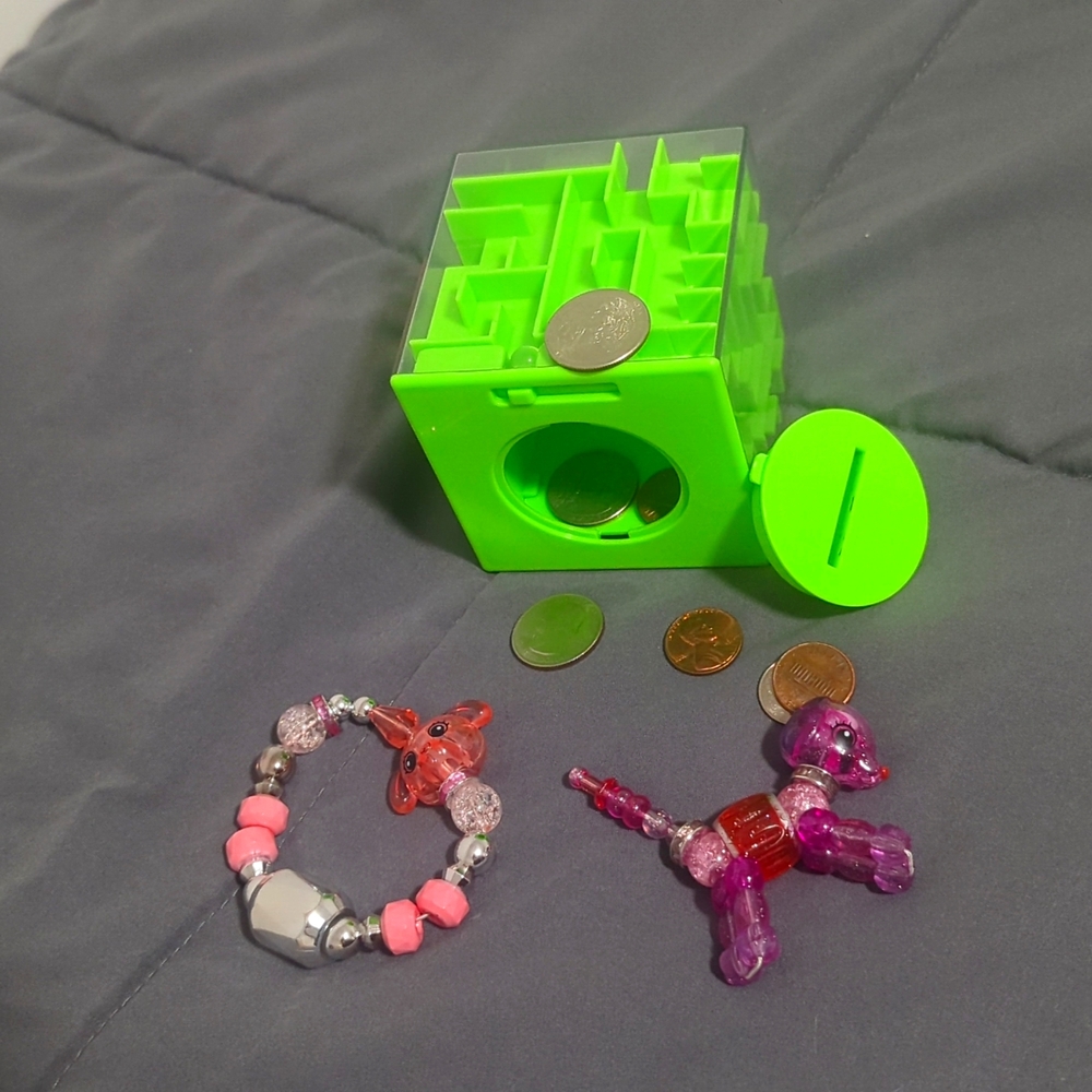 Twisty Pet and Money Maze Box